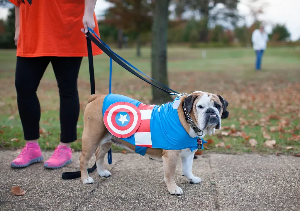 9. Trying Too Hard Can Actually Backfire (Image Credits: Flickr)