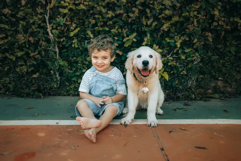 Taurus: The Golden Retriever – Practicing Patience, Comfort, and Safe Attachment (Image Credits: Pexels)