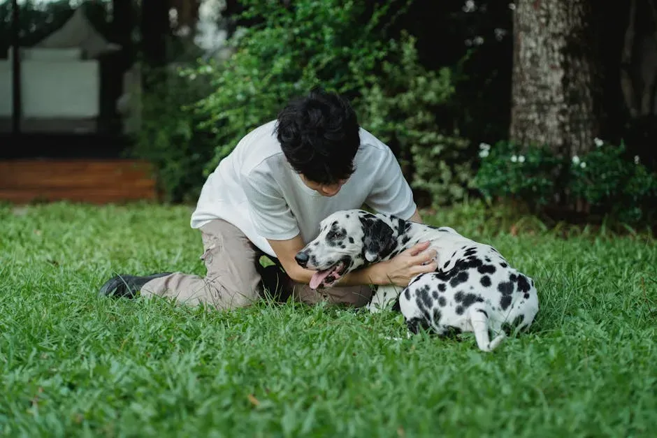 #1. The Dalmatian: Spotted Beauty With a Hidden Genetic Burden (Image Credits: Pexels)