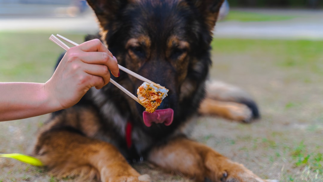 They've Become Picky Eaters with Gourmet Standards (Image Credits: Unsplash)