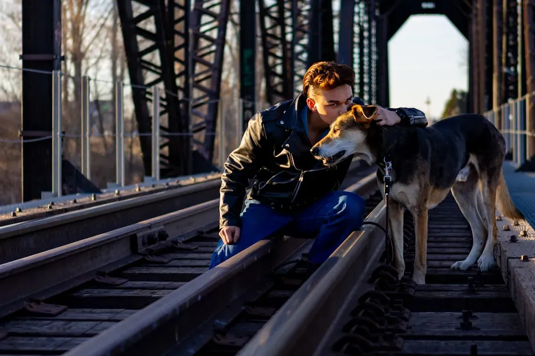 The Bond That Forms After Trauma Is Different in Character (Image Credits: Unsplash)