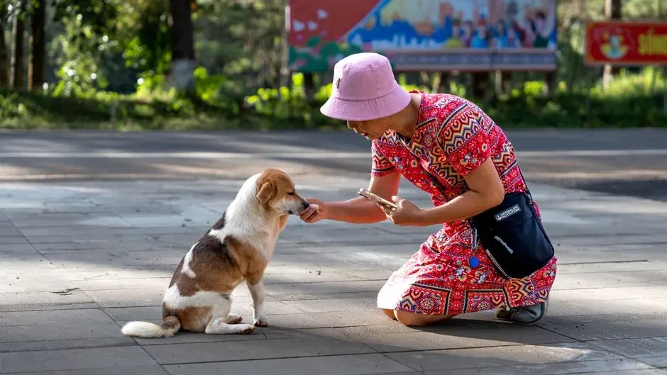 Why Choosing Kindness in Training Is a Moral Choice, Not Just a Method (Image Credits: Pexels)