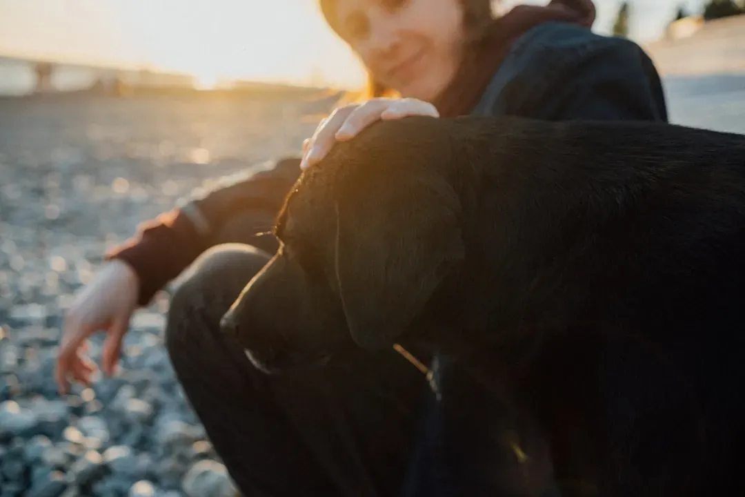 14. They Encourage Mindfulness Without Any Effort (Image Credits: Unsplash)