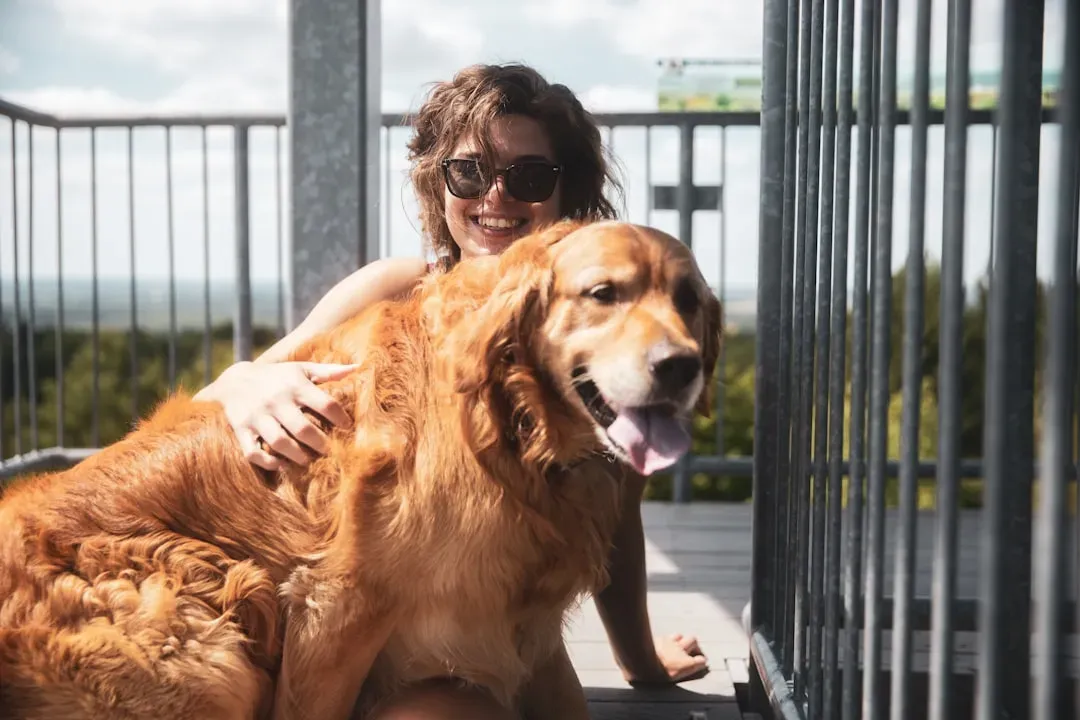 #5 - The 70-Pound Lap Dog Who Doesn't Understand Personal Space (Image Credits: Unsplash)