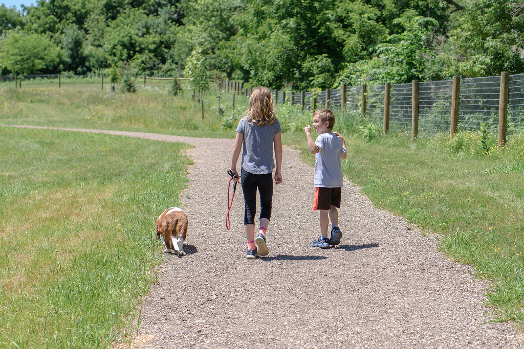 Petrified Forest National Park, Arizona - Ancient Wonders for Modern Dogs (Image Credits: Flickr)