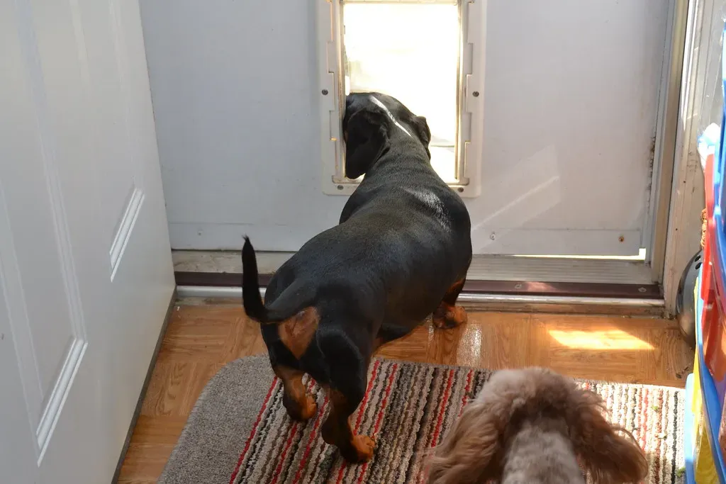 #8 - Yelling From Another Room Instead of Coming to the Door (Tobyotter, Flickr, CC BY 2.0)