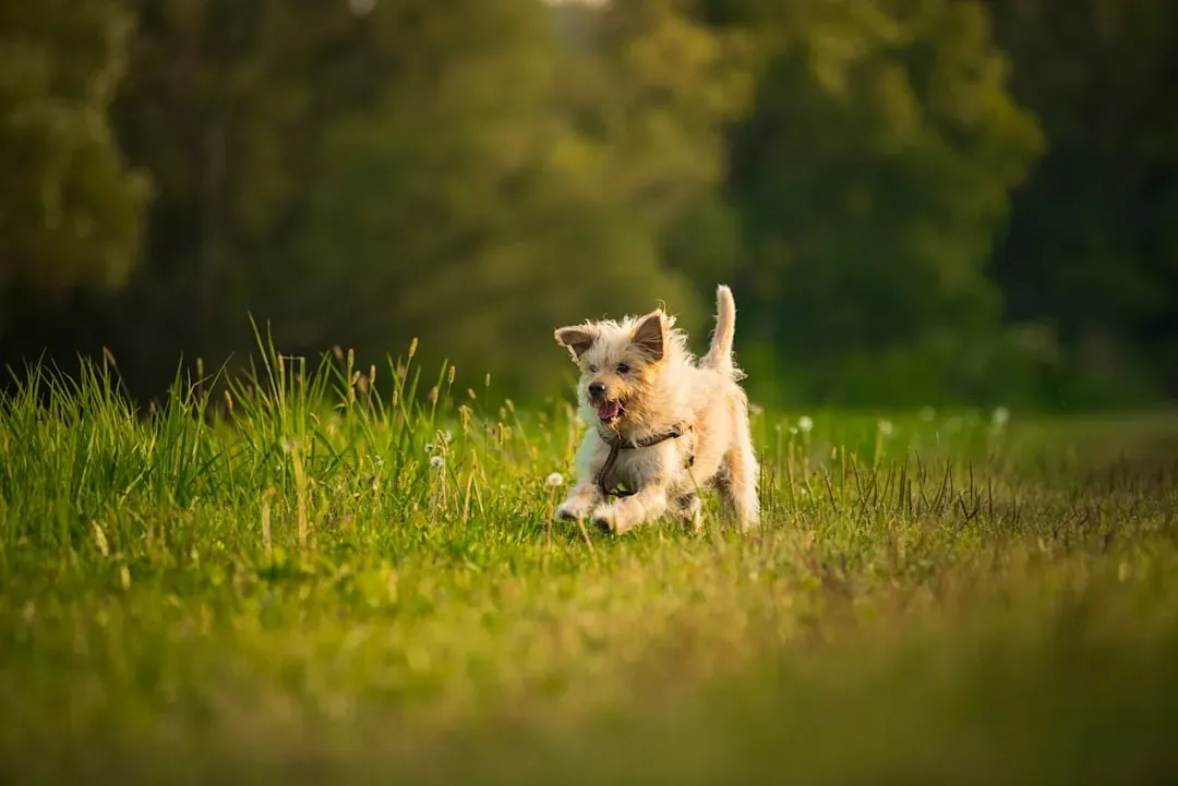 Instinctual Behavior Rooted in Survival (Image Credits: Unsplash)