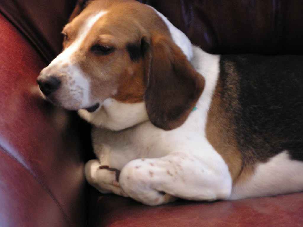 Neurological Disruptions (Image Credits: Flickr)