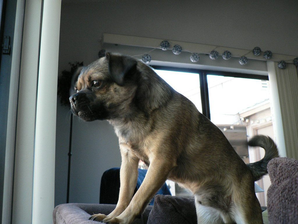 Sudden Bangs and Crashes (Image Credits: Flickr)