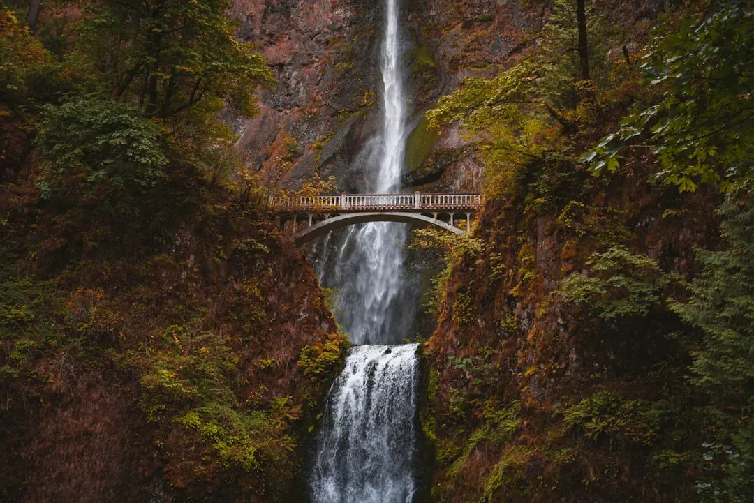Multnomah Falls: Oregon's Iconic Cascade (Image Credits: Unsplash)
