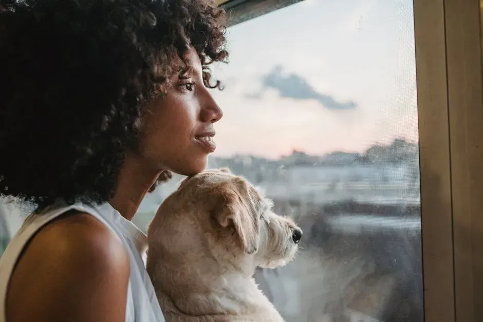 #1: Your Brain, Your Dog's Brain, and the Chemistry Between You (Image Credits: Pexels)