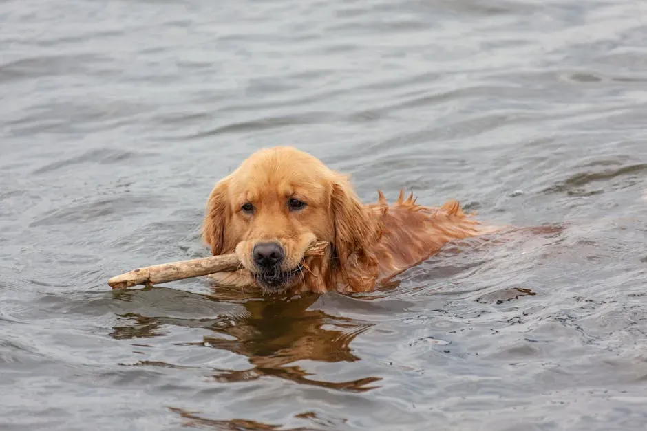 2. Golden Retriever: Sun, Water, and Unconditional Love (Image Credits: Pexels)