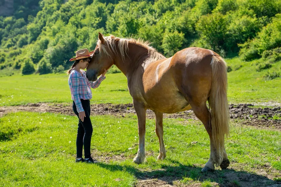 Beyond Nuzzling: Other Affectionate Behaviors to Watch For (Image Credits: Unsplash)