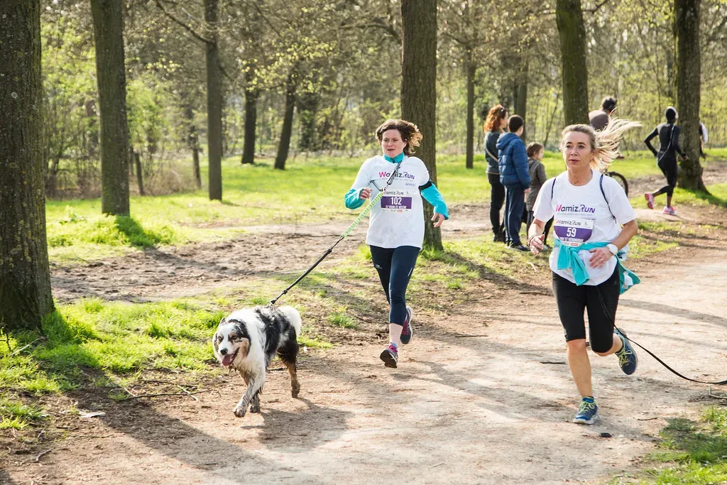 Aries: The Impulsive Dog-Chasing Trailblazer (Image Credits: Flickr)