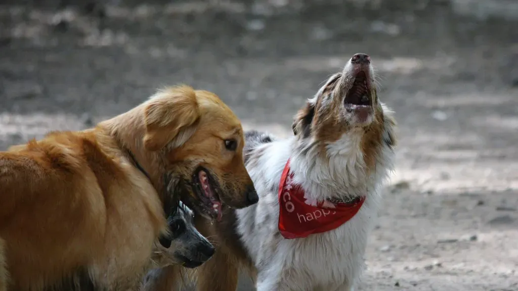 Mistake #1: Doing the First Meeting Inside Your Home (Image Credits: Flickr)