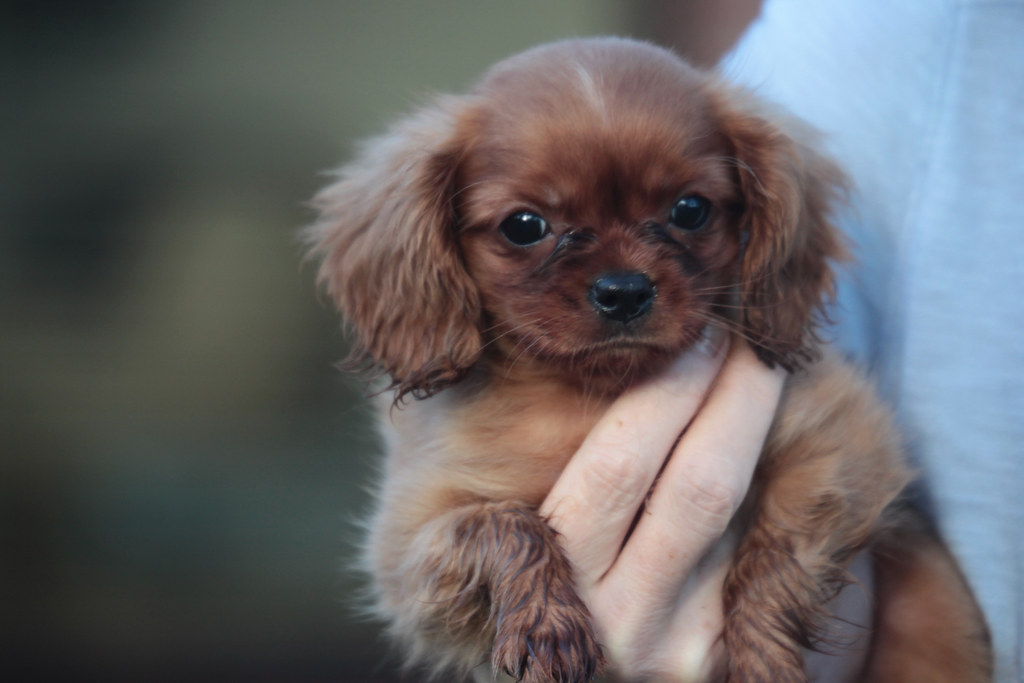 Conclusion (Image Credits: Flickr)