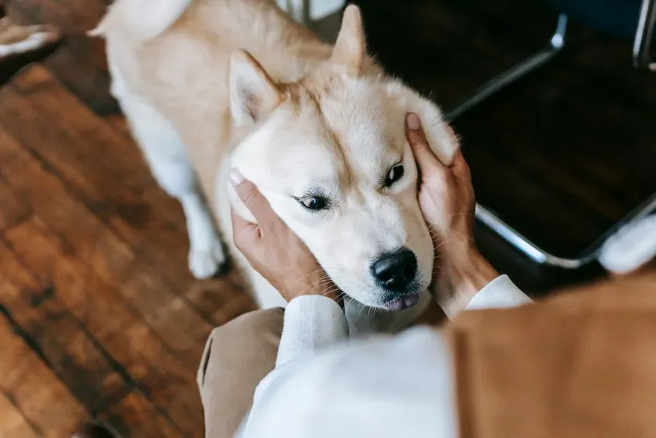 When Extra Attention Appears (Image Credits: Pexels)
