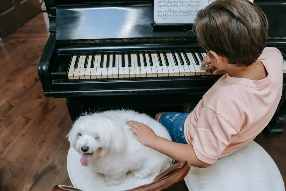 Using Music as a Real Wellness Tool for Your Dog (Image Credits: Pexels)