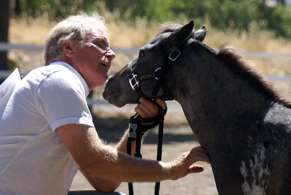 How to Help Your Anxious Horse Find Calm (Image Credits: Flickr)
