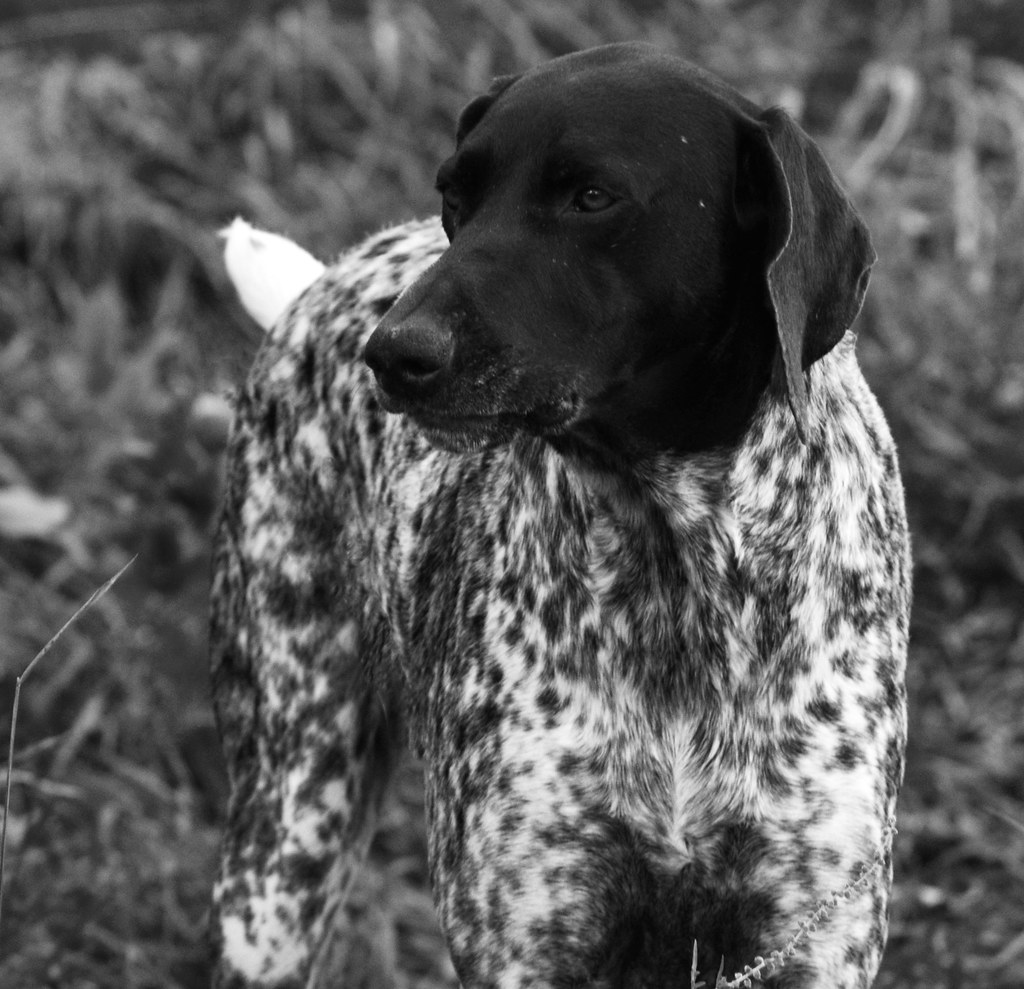 The Power Stance: How Body Posture Reveals Inner Strength (Image Credits: Flickr)