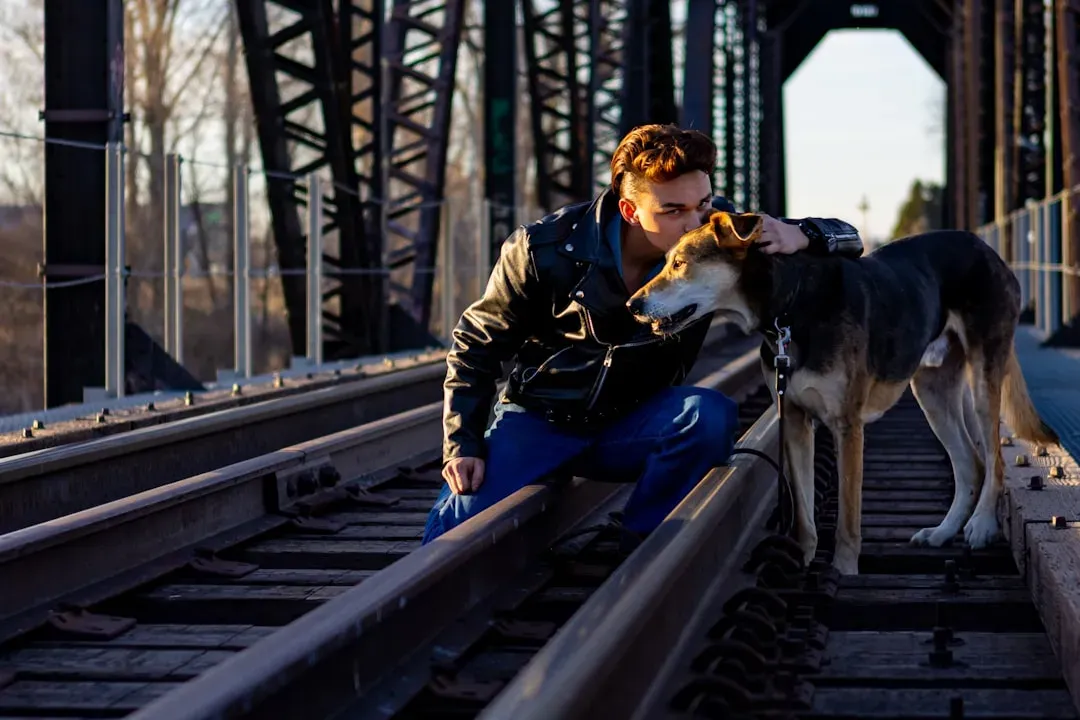 Conclusion: The Dog You Save Will Also Change You (Image Credits: Unsplash)