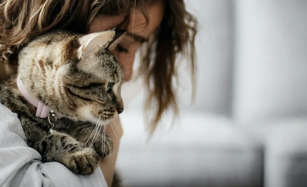 3. You’re Finally Still, and That Makes You a Perfect Cuddle Object (Image Credits: Unsplash)
