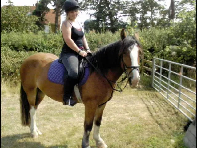 Conclusion (Image Credits: Flickr)