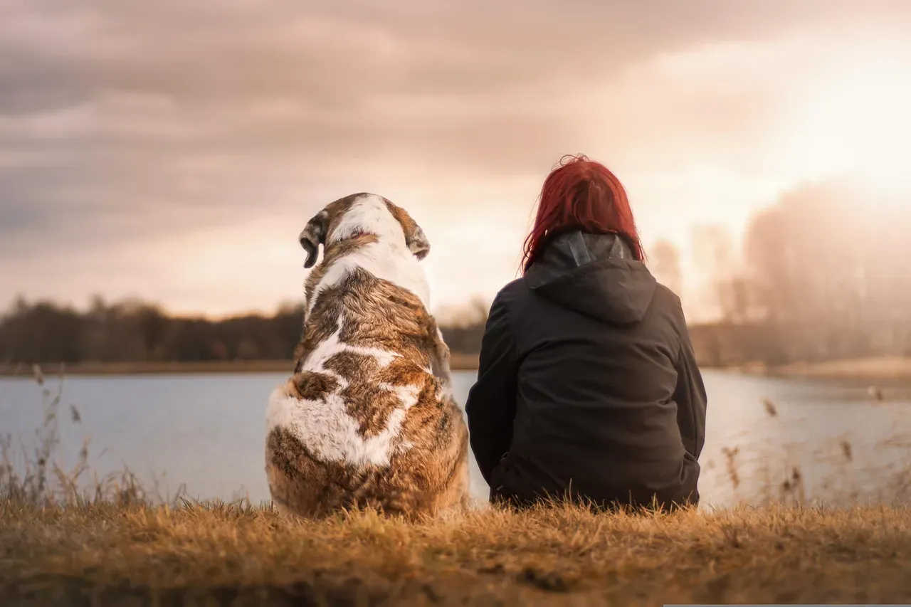 #6 - Dogs Are Forcing Doctors to Take Loneliness Seriously (Image Credits: Pixabay)