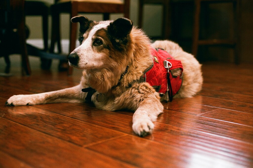 Conclusion (Image Credits: Flickr)