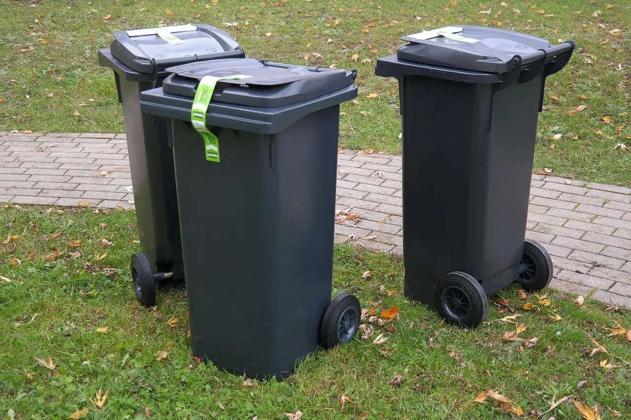 #12 - Open Trash Cans and "Snackable" Garbage (Image Credits: Pixabay)