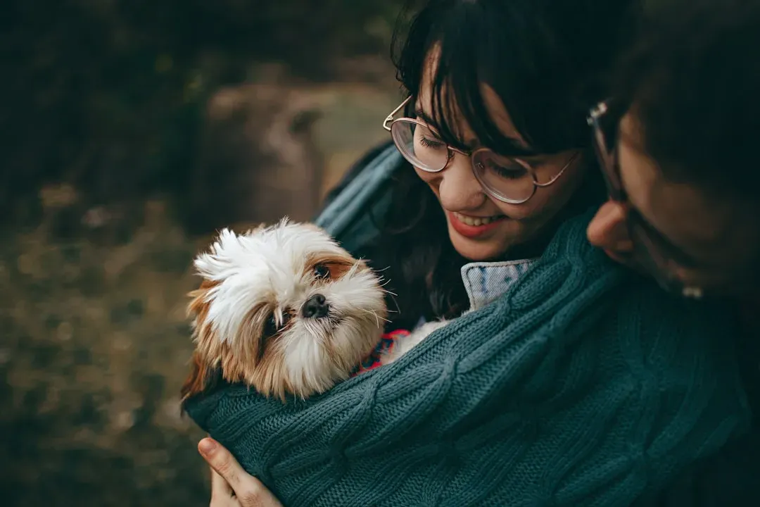 8. Shih Tzu – The Regal Lap Lounger (Image Credits: Unsplash)