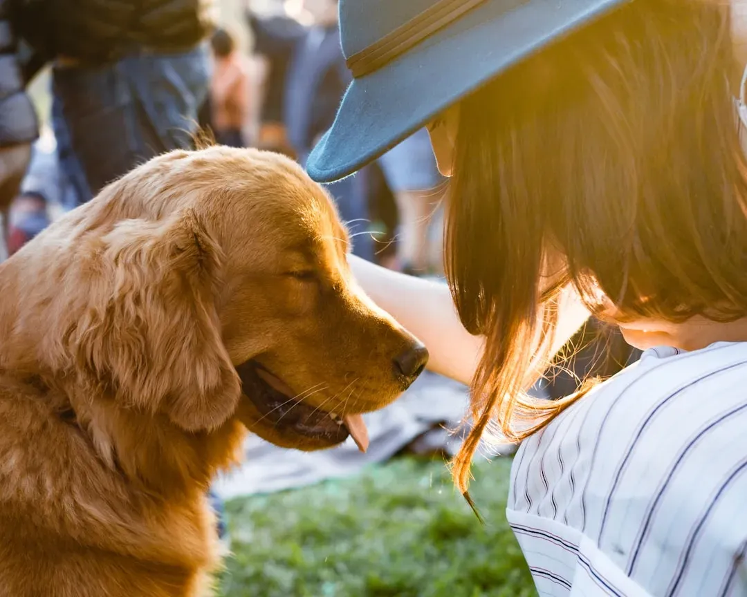 What Makes Any Dog a True Therapy Dog? (Image Credits: Unsplash)