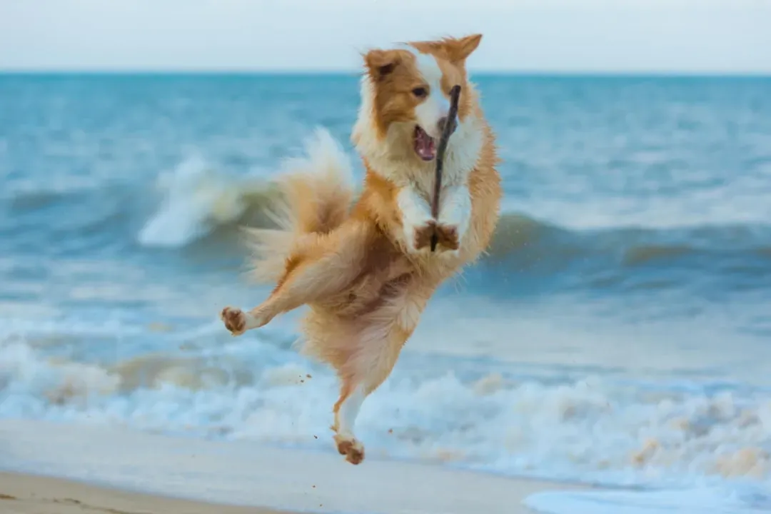 Occasional Leg Kicks (Image Credits: Unsplash)