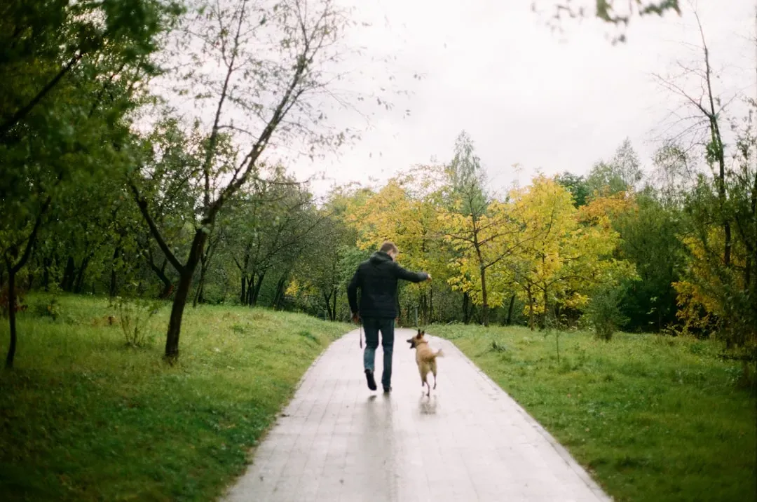 Leadership, Not Laziness: The Hidden Meaning Of Walking Behind You (Image Credits: Unsplash)