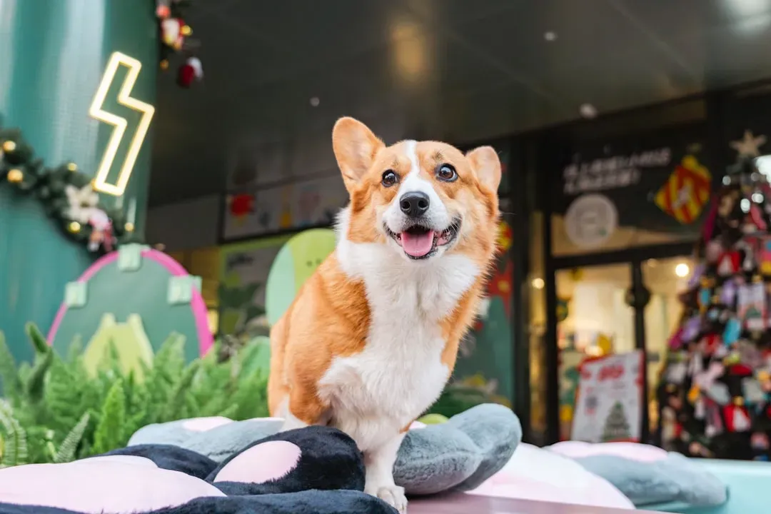 The Secret Power of Reframing Behavior (Image Credits: Unsplash)