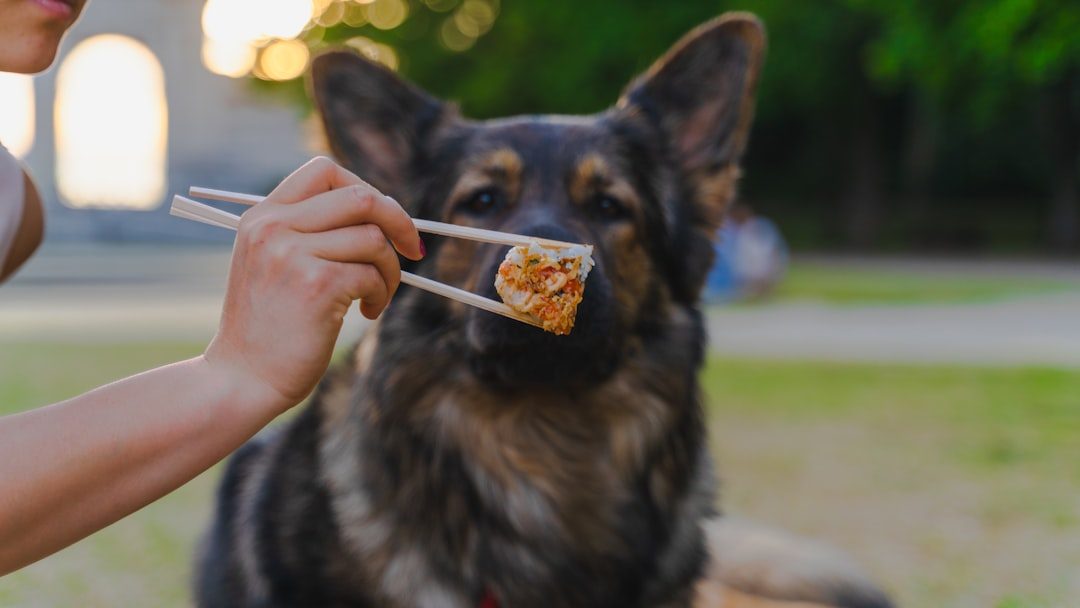 Your Dog Eats Comfortably in Your Presence (Image Credits: Unsplash)
