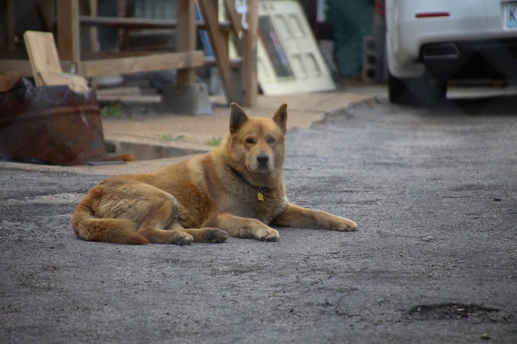 Conclusion (Image Credits: Flickr)