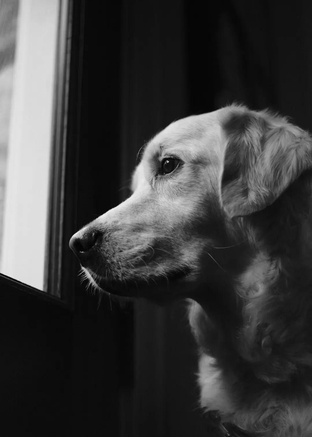 The Emotional Toll Can Be Crushing (Image Credits: Unsplash)