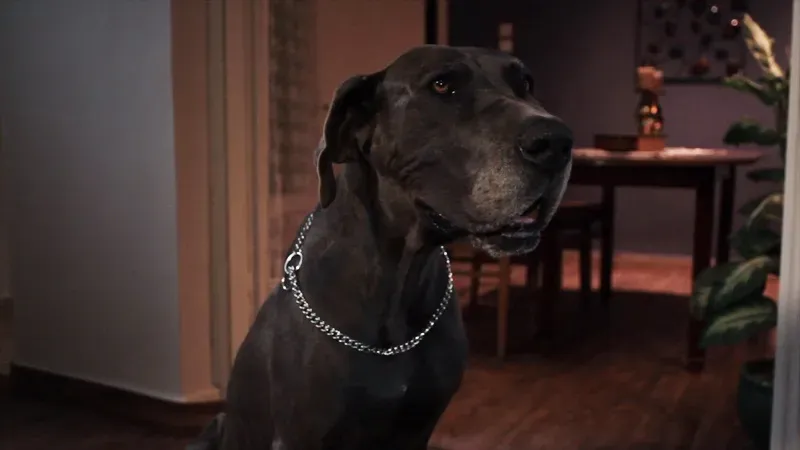 Conclusion: Looking Beyond the Reputation (Image Credits: Wikimedia)