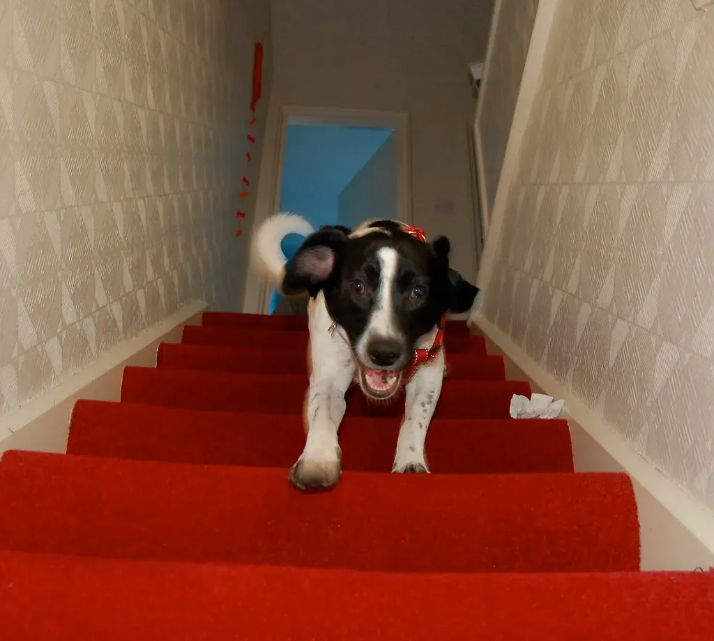 Conclusion: That Pause Is a Conversation Worth Listening To (Image Credits: Flickr)