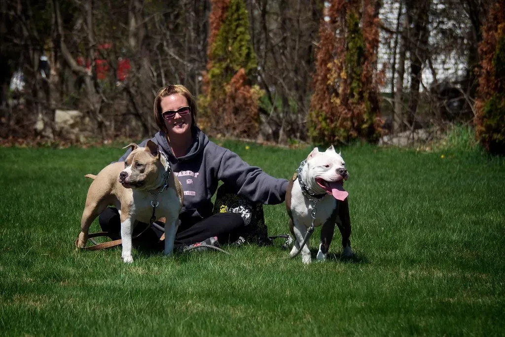 Conclusion: Shifting from Blame to Understanding (Image Credits: Flickr)