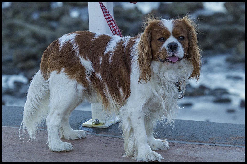 Conclusion (Image Credits: Flickr)