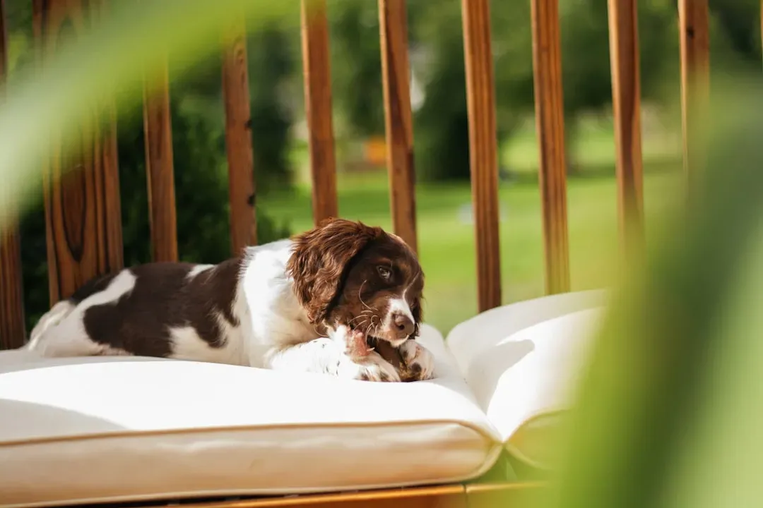 Busting the "Live in the Moment" Myth (Image Credits: Unsplash)