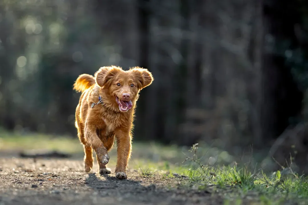 #6 - The Predictable Pre-Walk Explosion (Image Credits: Unsplash)