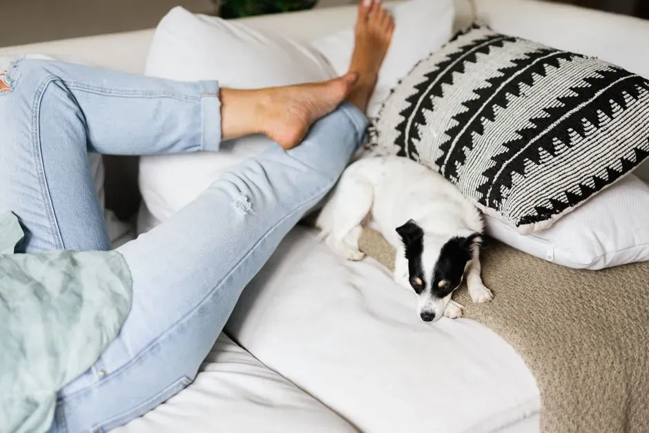 Addressing Anxiety and Stress (Image Credits: Pexels)