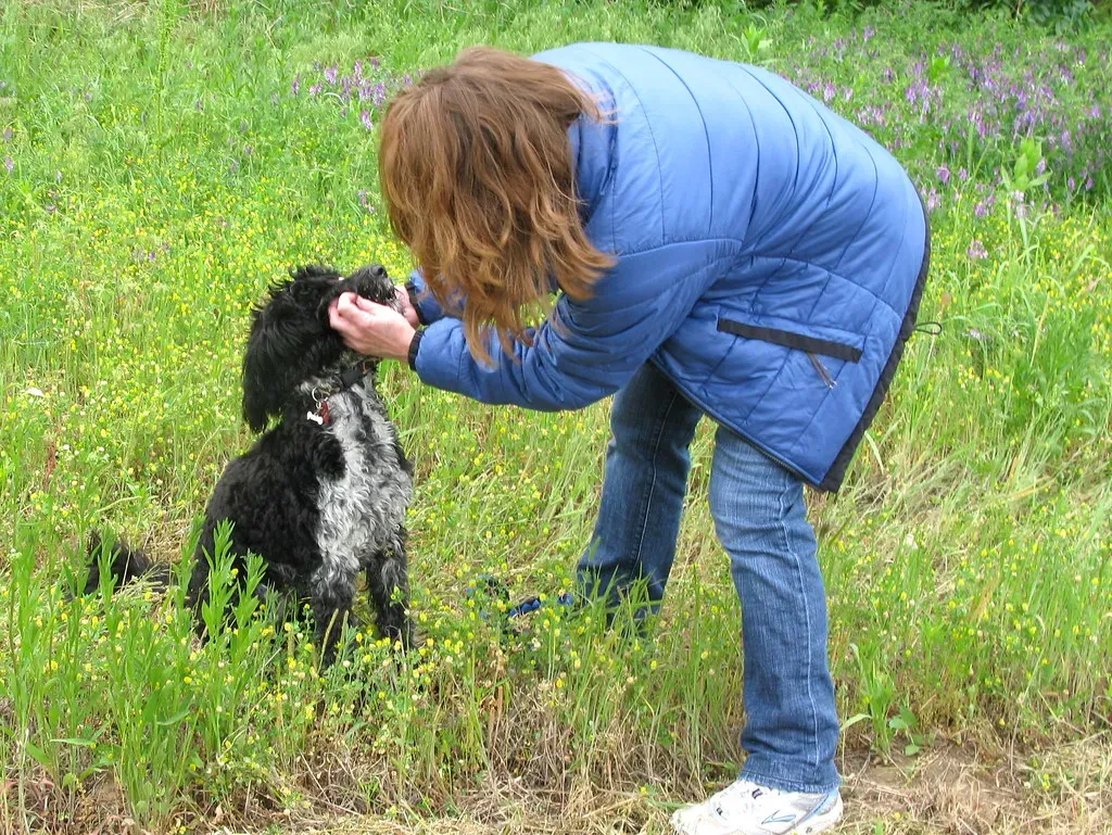 A Final Thought: Your Dog Is Counting On You (OakleyOriginals, Flickr, CC BY 2.0)