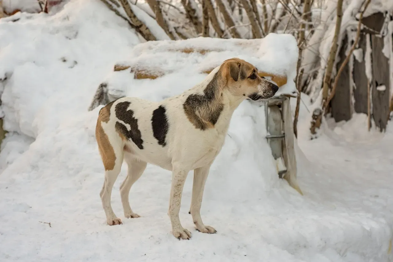 Choosing the Right Lighting for Natural, Flattering Photos (Image Credits: Pixabay)