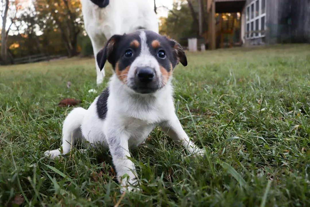 5. Avoiding Being Touched in Specific Spots (Image Credits: Unsplash)