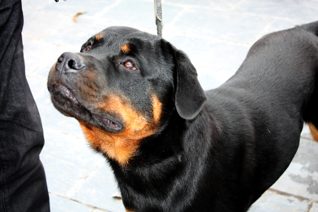 Conclusion (Image Credits: Flickr)