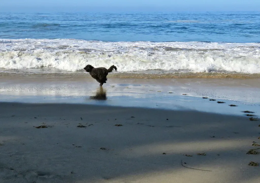 Stress Relief in Fast Forward (Image Credits: Flickr)